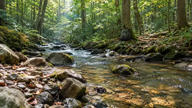 The Creek I Stopped Worrying About